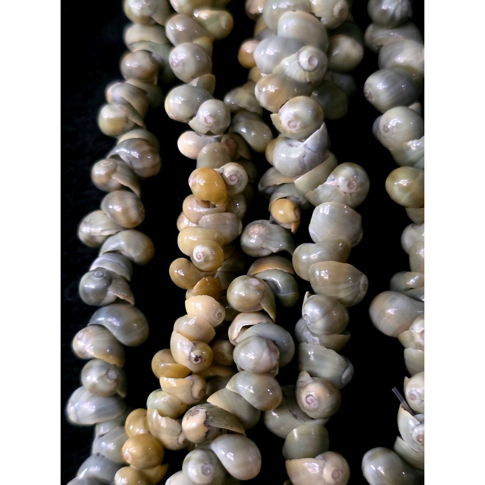 Multi‎ Strand 6 Mini Mongo Shell Necklace Black Seed Bead Accent Olive Green - Picture 3 of 9